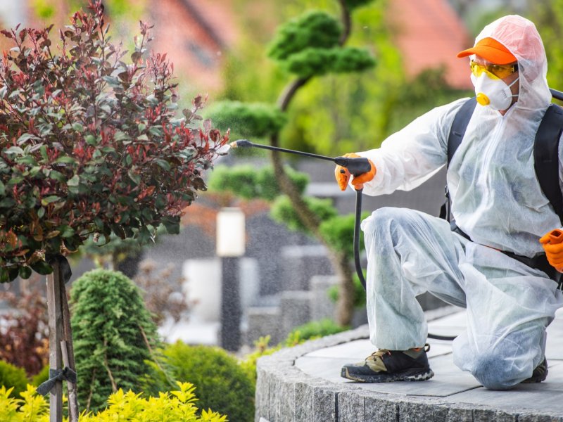 Sasalı Haşere İlaçlama